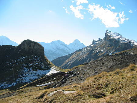 2001_sommer_006.jpg