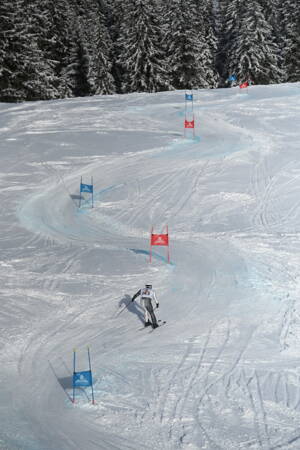 giantslalom_2025_30.jpg giantslalom_2025_30.jpg