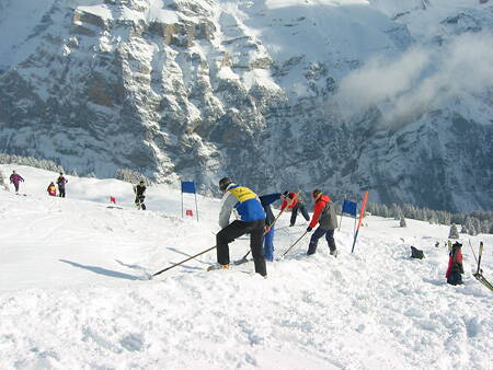 2003_helfer_007.jpg