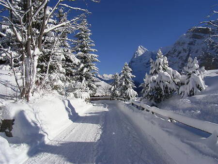 2007_dezember_008.jpg