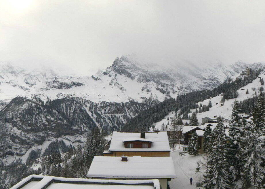 muerren_19-1-2015.jpg