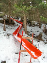2009_helfer_010.jpg