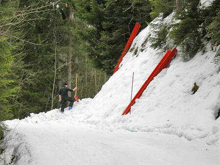 2009_helfer_011.jpg