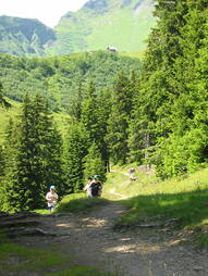 2002_sommer_007.jpg