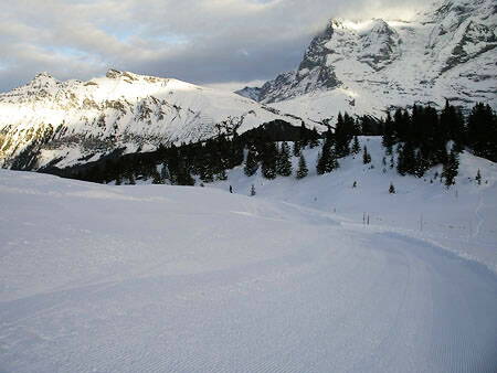 2005_dezember_016.jpg
